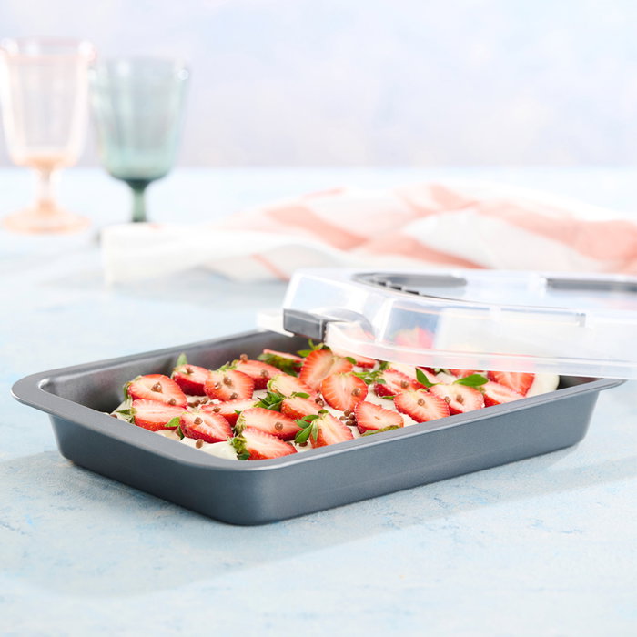 Day Moule 36x23 cm avec couvercle transparent