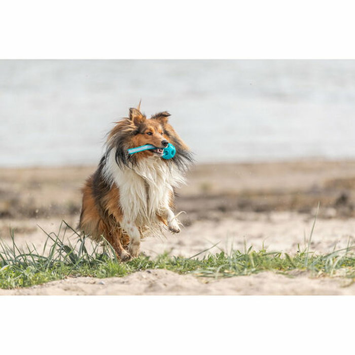 Boule pour animaux de compagnie Trixie Turquoise TPE Ballon ø 6 x 23 cm Boule pour animaux de compagnie Trixie Turquoise TPE Ballon ø 6 x 23 cm