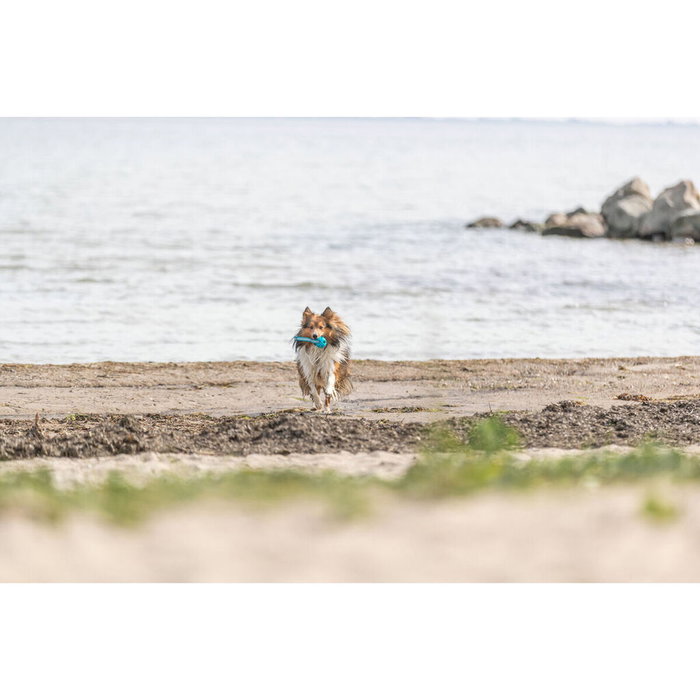 Boule pour animaux de compagnie Trixie Turquoise TPE Ballon ø 6 x 23 cm Boule pour animaux de compagnie Trixie Turquoise TPE Ballon ø 6 x 23 cm