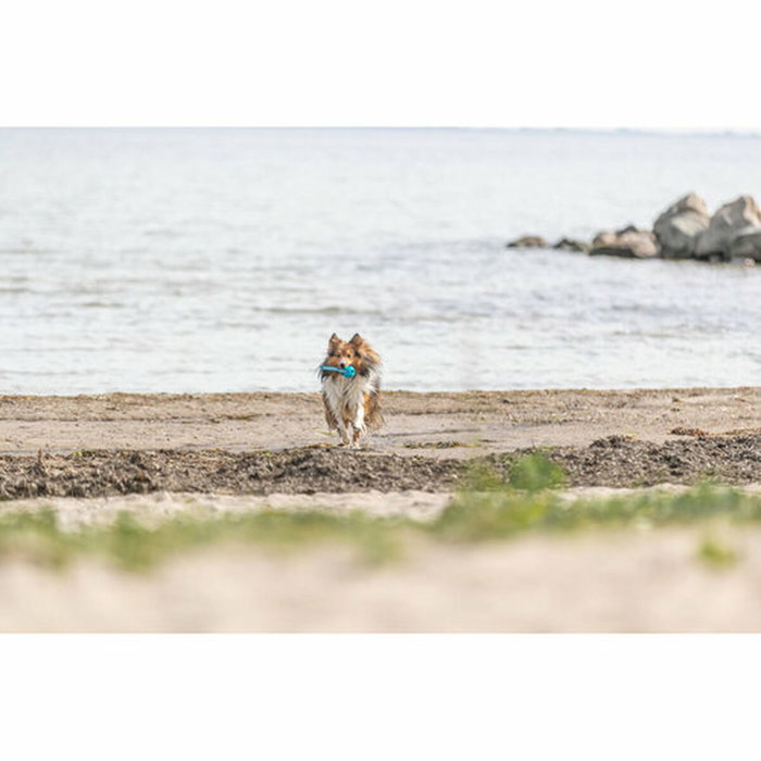 Boule pour animaux de compagnie Trixie Turquoise TPE Ballon ø 6 x 23 cm Boule pour animaux de compagnie Trixie Turquoise TPE Ballon ø 6 x 23 cm