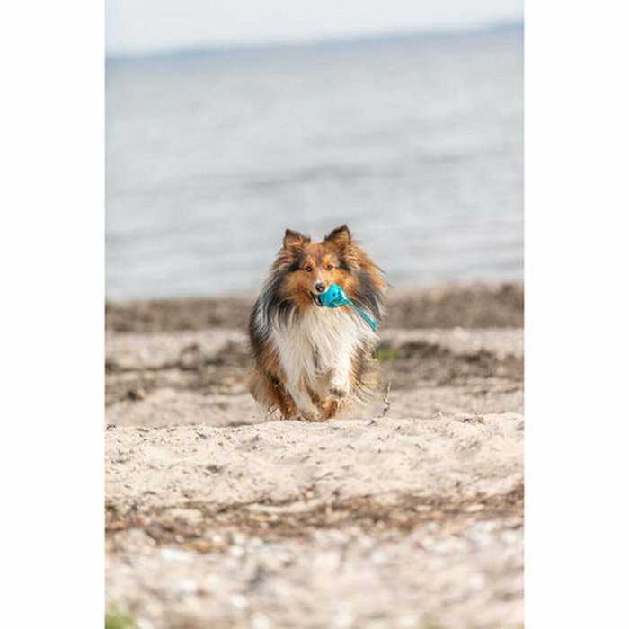Boule pour animaux de compagnie Trixie Turquoise TPE Ballon ø 6 x 23 cm Boule pour animaux de compagnie Trixie Turquoise TPE Ballon ø 6 x 23 cm