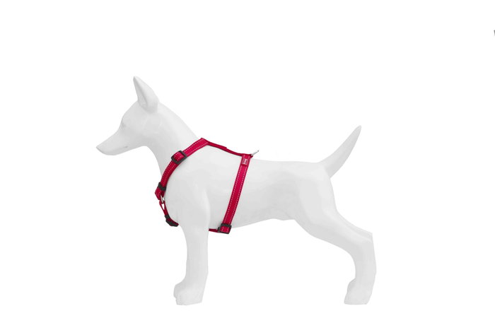 Freedog Harnais en Nylon Réfléchissant Rouge 10mm x 20/36cm Freedog Harnais en Nylon Réfléchissant Rouge 10mm x 20/36cm