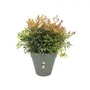 ELHO Pot de fleurs Loft Urban, réservoir d'eau intégré, plastique, vert, Ø48.5 x H44.5 cm