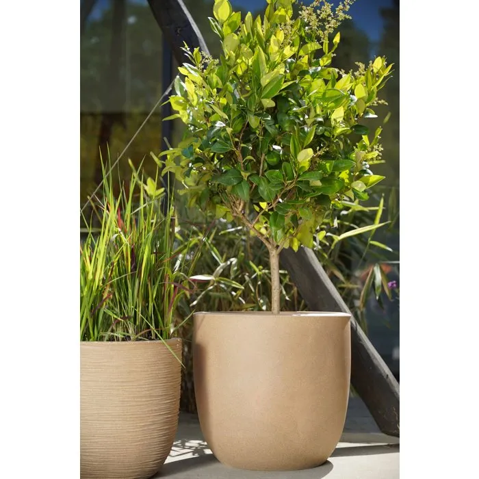 CAPI EUROPE Rib NL - Pot boule décoratif pour intérieur et extérieur - 35 x 34 cm - Beige