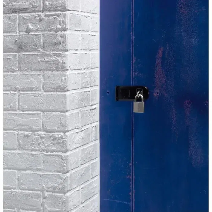 Master Lock Cadenas haute sécurité en laiton nickelé 40mm, anse hexagonale en acier, 4 clés incluses, pour casier, sac ou boîte