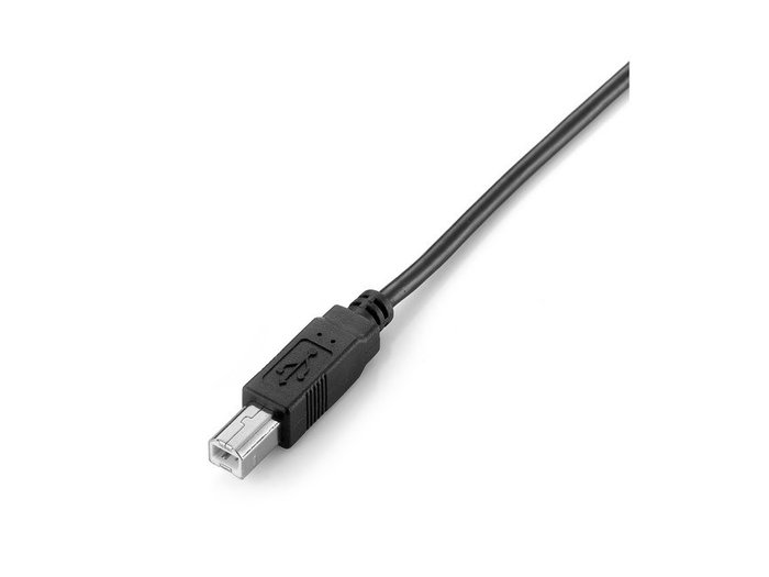 Equip Câble USB 2.0 A mâle vers USB B mâle 2 m