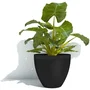 Garden Id Pot de fleurs Green Care Impact Noir Anthracite - 40 x 31 cm - 100% recyclé - Résistant aux UV et au gel - Garantie 10 ans