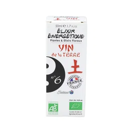 5 SAISONS Elixir No 06 Ying de la Terre (mélissa)