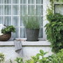 Deroma Soucoupe Origin Gris 67 x 6 cm