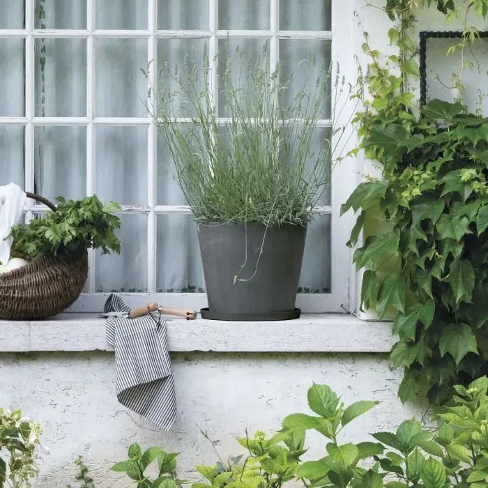 Deroma Soucoupe pour plantes Origin 67 cm Gris, résistante au gel et aux UV, en plastique recyclé