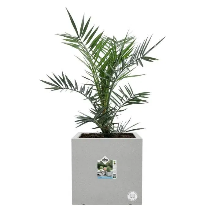 Elho Bac à Fleurs Vivo Next Square 30 Gris, Ø 30 x H 29 cm avec Réservoir d'Eau, 100% Plastique Recyclé pour Intérieur et Extérieur