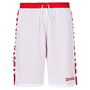 Short de Basket pour Homme Spalding 300502503