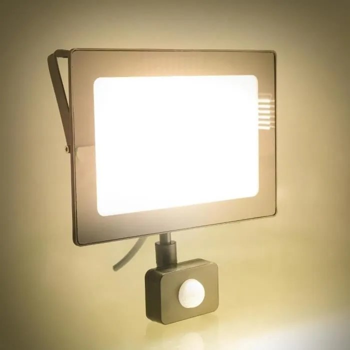 Retlux Projecteur LED extérieur RSL 248 avec détecteur de mouvement - 50W, 4000 lm, 4000K, IP65, aluminium noir