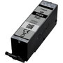 Canon PGI-580PGBK Noir