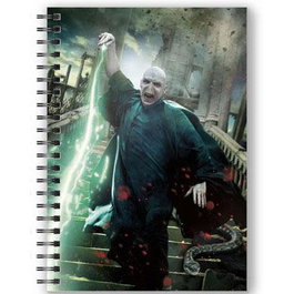SD Toys Cahier effet 3D Harry Potter Voldemort Poster A5