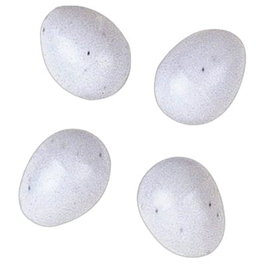 Ferplast Œufs en plastique pour oiseaux 1,3x1,6cm