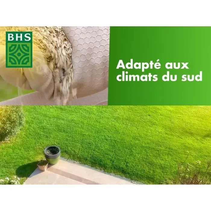 BHS - Semence de Gazon Rustique Sud - 10kg - Gazon résistant à la sécheresse à base de fétuque élevée et Ray-Grass - Implantation rapide et homogène
