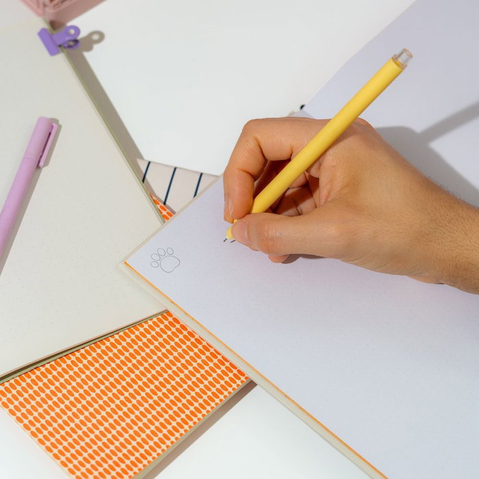 ERIK - Cahier A5 premium avec couverture rigide - Thème Garfield