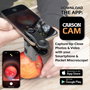 Carson MicroMini MM-380 Microscope de poche 20x