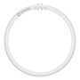 Osram Lampe LED Circulaire T5 FC 40/55 P 21,5W 830 2GX13