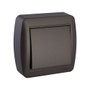 Solera Interrupteur bipolaire 10A 250V~ de superficie série mural, couleur graphite 74x72x28 mm