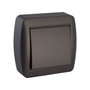 Solera Interrupteur bipolaire de surface série Mural Graphite