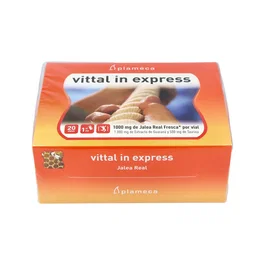 PLAMECA Vittal In Express Jalea Real 20 ampoules