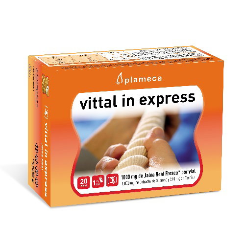 PLAMECA VITAL IN EXPRESS Jalea Real 20 Viales