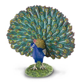 COLLECTA Paon - Taille L