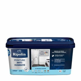 Ripolin Peinture Anti-Humidité Gris Satin 2,5L