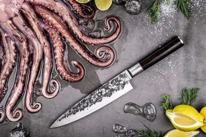 Forged - Sebra Couteau de Chef 20,5 cm - Acier Japonais 440C - Manche en Bois Dalbergia - Martelé - Dureté 58 HRC - Garantie 10 Ans