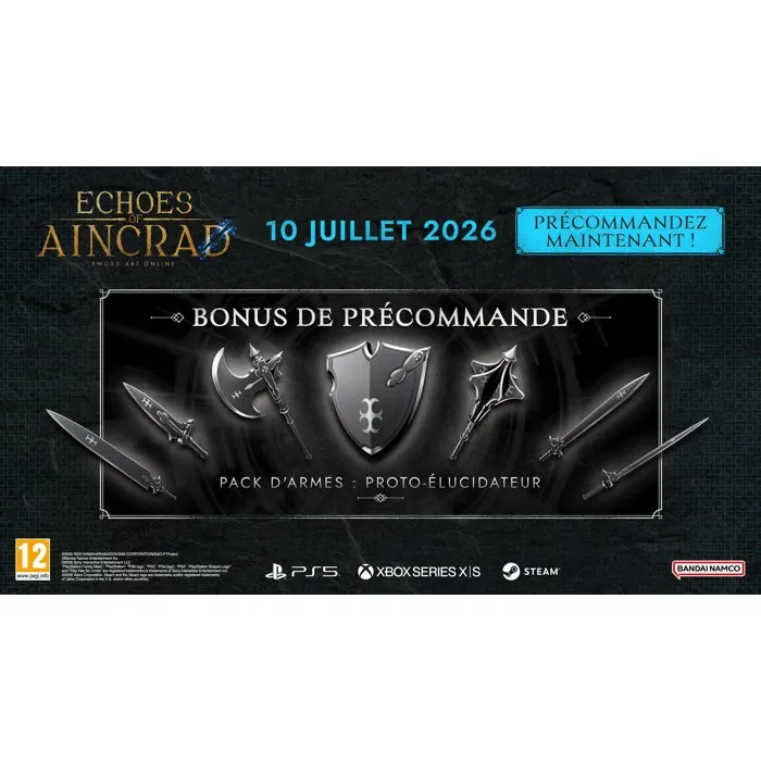 Bandai Namco Entertainment Echoes of Aincrad - Jeu PS5