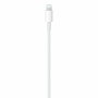 Apple Câble USB-C vers Lightning 1 m, Blanc et Vert, MM0A3ZM/A