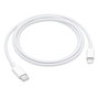 Câble USB-C vers Lightning Apple MM0A3ZM/A Blanc 1 m