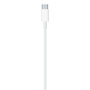 Câble USB-C vers Lightning Apple MM0A3ZM/A Blanc 1 m
