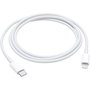 Câble USB-C vers Lightning Apple MM0A3ZM/A Blanc 1 m