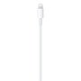 Câble USB-C vers Lightning Apple MM0A3ZM/A Blanc 1 m