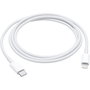 Câble USB-C vers Lightning Apple MM0A3ZM/A Blanc 1 m