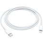Câble USB-C vers Lightning Apple MM0A3ZM/A Blanc 1 m