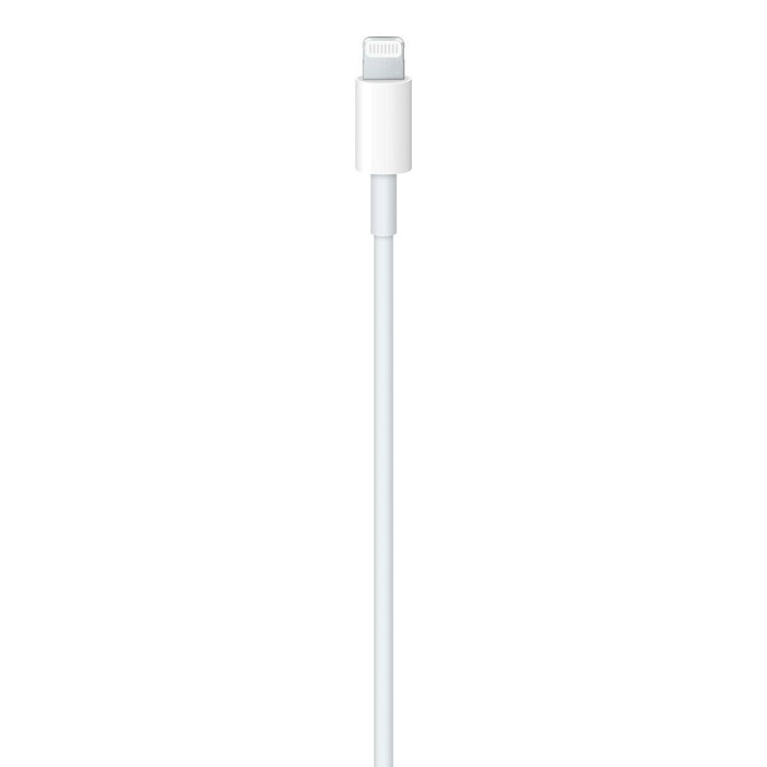 Câble USB-C vers Lightning Apple MM0A3ZM/A Blanc 1 m
