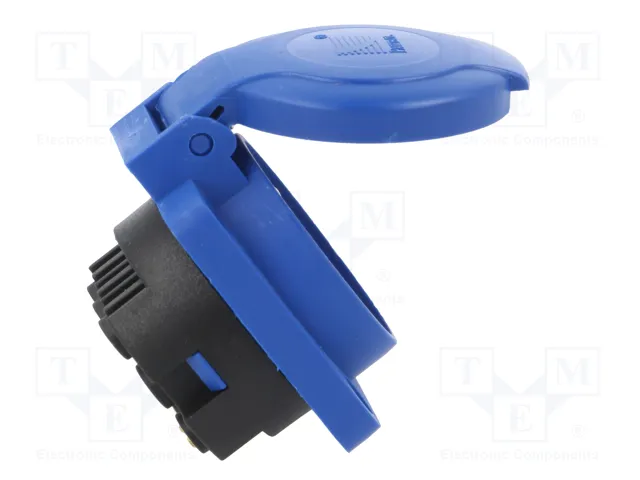 PAWBOL Socle de connecteur d'alimentation AC 2P+PE bleu 16A 250VAC