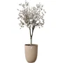 ELHO Pot de fleur Sereh Haut 40, 50 L, Ø 39 x H 53 cm, Marron, pour Balcon, Intérieur et Extérieur, 100% recyclé