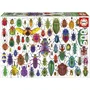 Educa Puzzle Scarabées 500 Pièces 48 x 34 cm - EDUCA