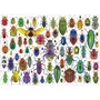 Educa Puzzle Scarabées 500 Pièces 48 x 34 cm - EDUCA
