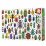 Educa Puzzle Escarabajos 500 pièces