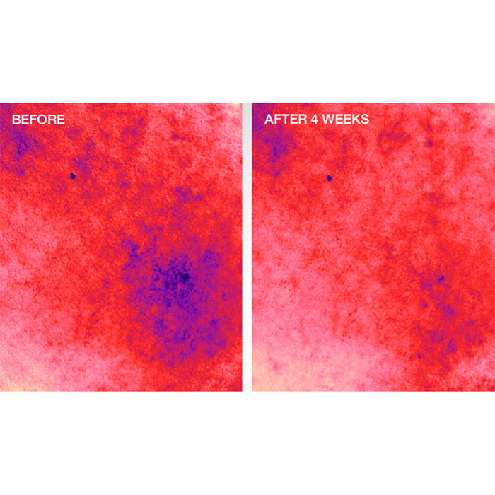 Strivectin BARRIER RESTORE+ Crème Apaisante aux Céramides - Renforce la Barrière Cutanée, Hydratation, Anti-Âge - 50 ml