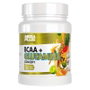 MEGA PLUS BCAA+GLUTAMINA CONCEPT Tropical 500g