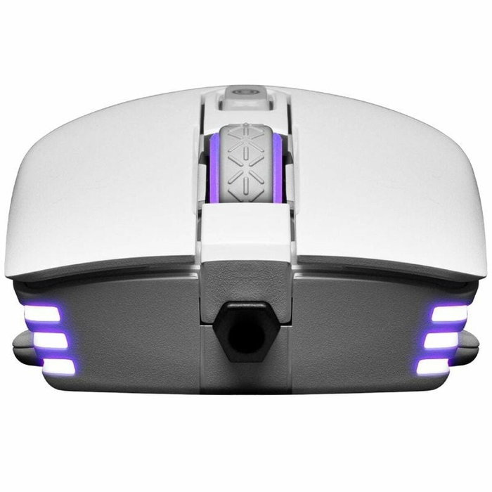 Souris Gaming Evga X12