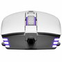 Souris Gaming Evga X12
