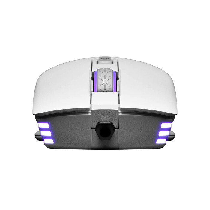 Souris Gaming Evga X12